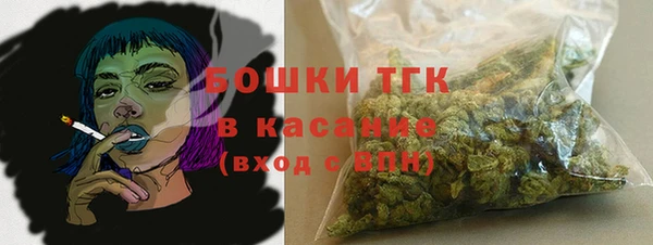 сатива Арсеньев