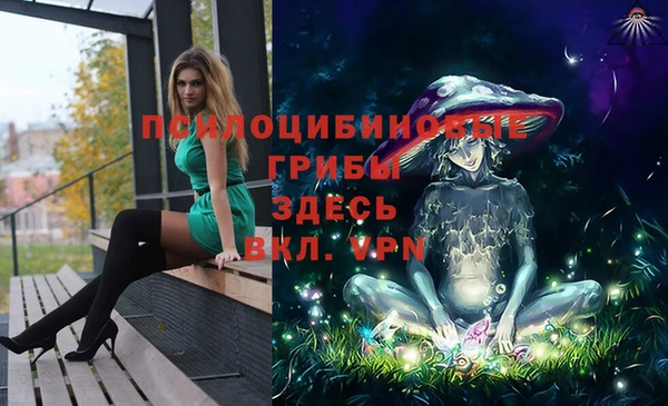 MDMA Premium VHQ Аркадак