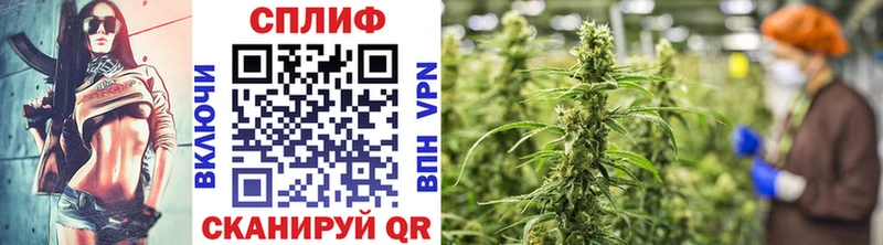 Конопля MAZAR магазин наркотиков omg как зайти Ельня